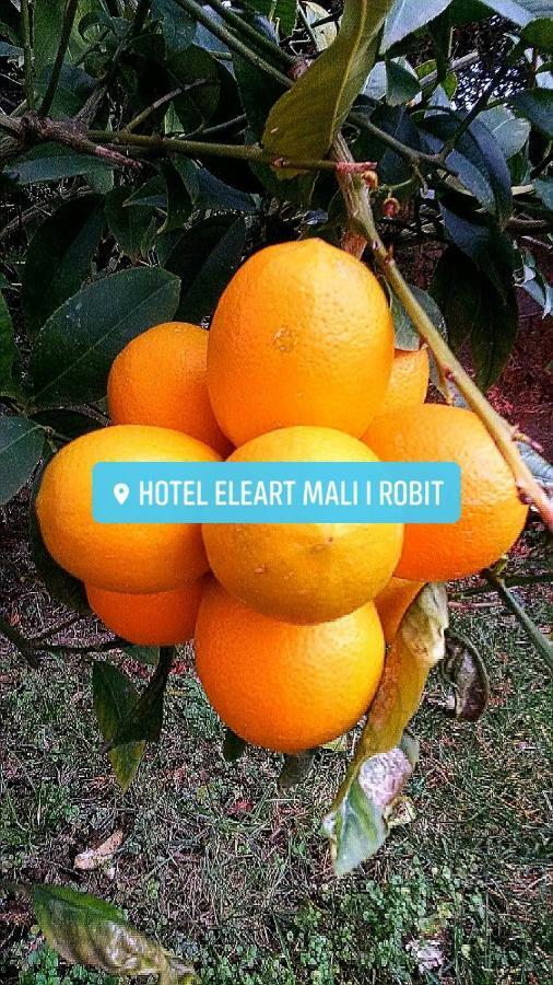 Aparthotel Eleart Golem  Exteriér fotografie